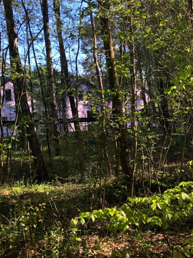 Lawendowe Domki Miedzywodzie Exterior photo